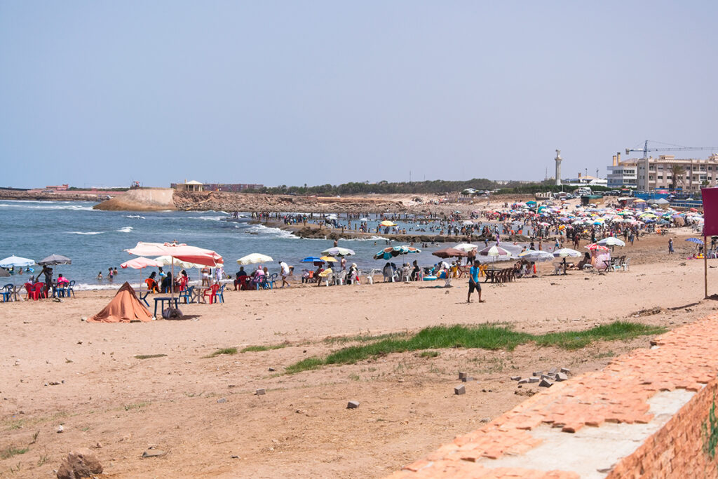Tendances Marché : Mansouria